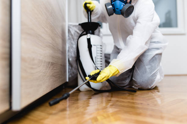 Best Pest Control for Restaurants  in Laureldale, PA