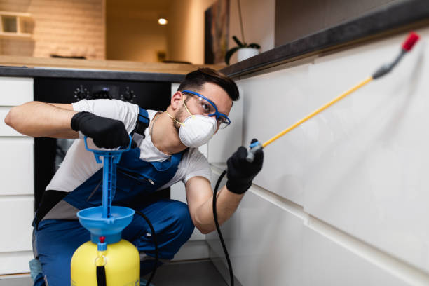 Wasp Removal Services in Laureldale, PA