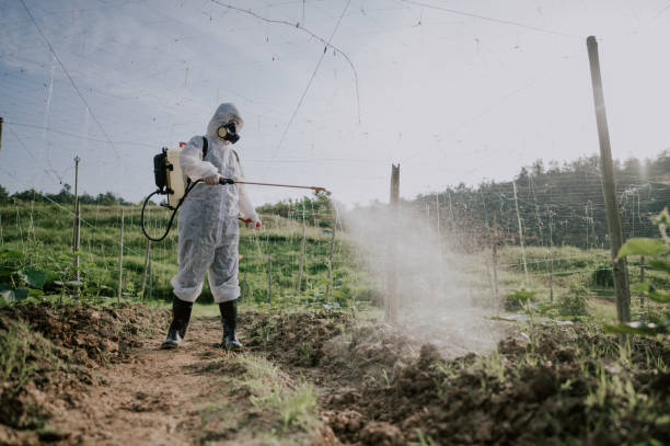 Best Ant Control Services  in Laureldale, PA