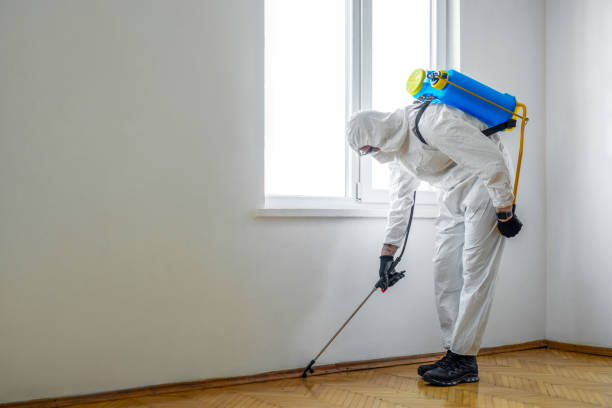 Best Pest Prevention Services  in Laureldale, PA