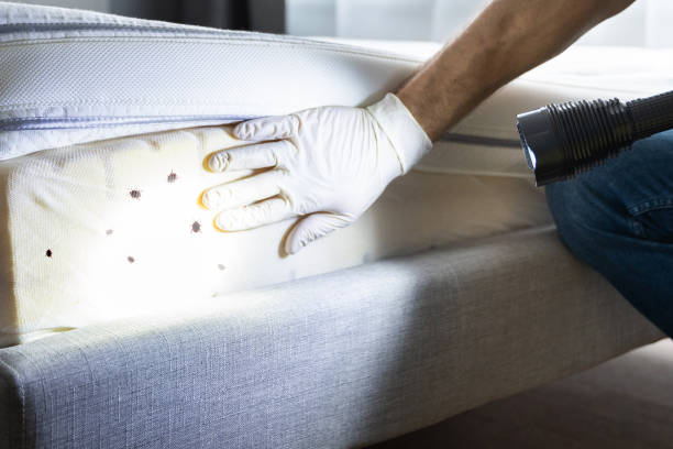 Pest Control for Restaurants in Laureldale, PA