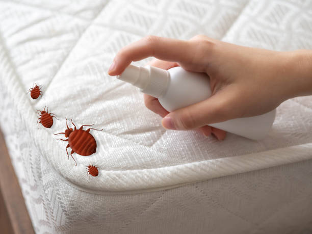 Best Insect Control  in Laureldale, PA