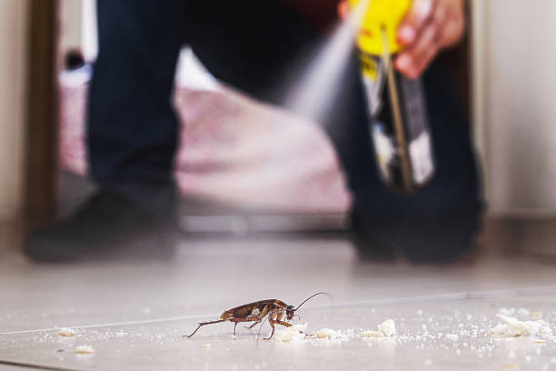 Best Local Pest Control Services  in Laureldale, PA